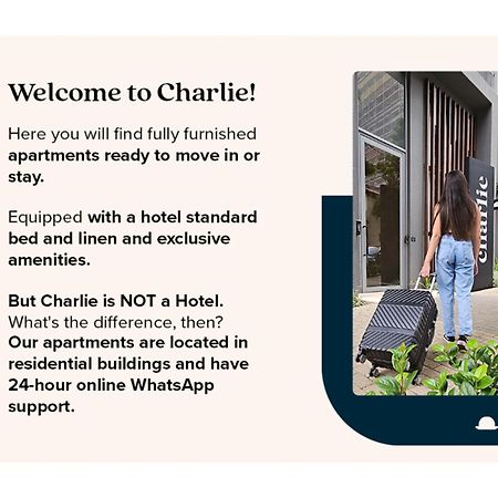Charlie Franca Jardim Paulista Apartment เซาเปาโล ภายนอก รูปภาพ