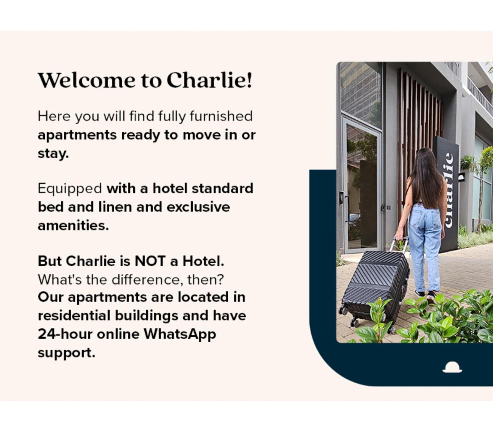 Charlie Franca Jardim Paulista Apartment เซาเปาโล ภายนอก รูปภาพ